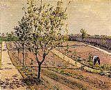 Kitchen Garden, Petit Gennevilliers by Gustave Caillebotte